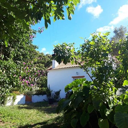 Quinta Algarve Das Relvinhas Monchique Exterior photo